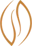 Anasayfa
